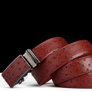 Men's Belt Ratchet (Brown)